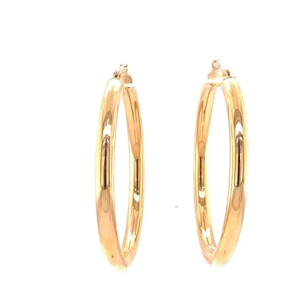 Earrings Biondi Diamond Jewelers Aurora, CO