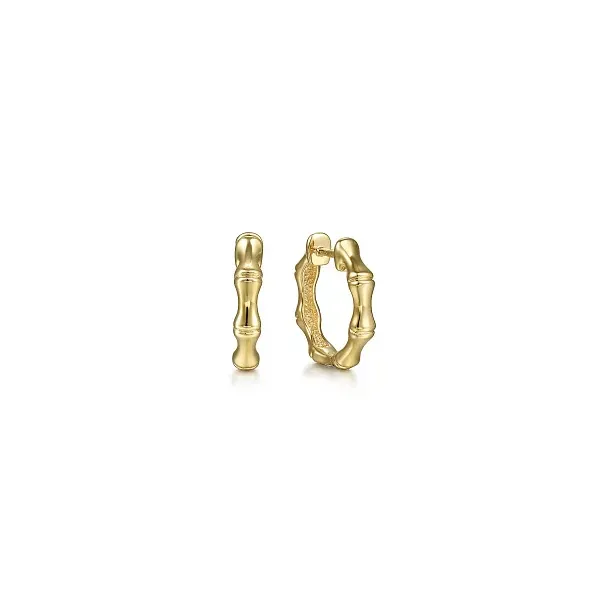 Earrings Biondi Diamond Jewelers Aurora, CO