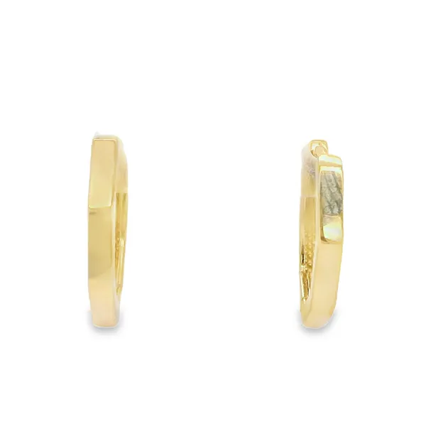 Earrings Biondi Diamond Jewelers Aurora, CO