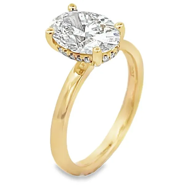 Engagement Ring Black River Diamond Company Medford, WI