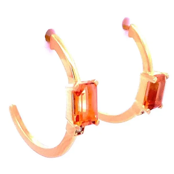 Earrings Black River Diamond Company Medford, WI
