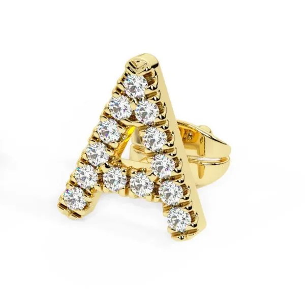 Earrings Black River Diamond Company Medford, WI