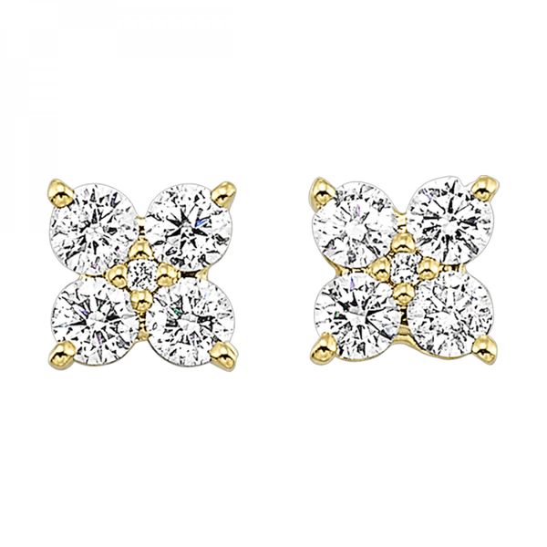 Earrings Black River Diamond Company Medford, WI