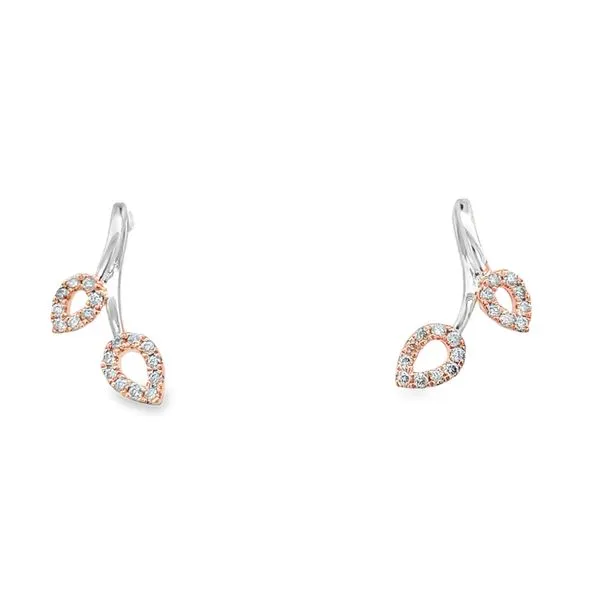 Earrings Black River Diamond Company Medford, WI