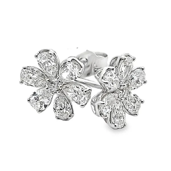 Earrings Black River Diamond Company Medford, WI
