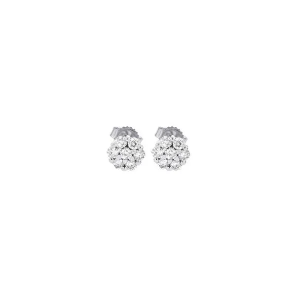 Earrings Black River Diamond Company Medford, WI
