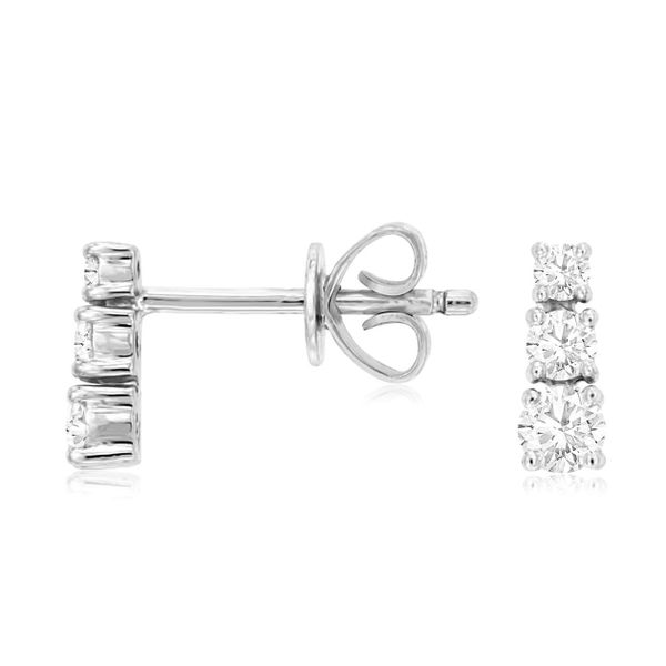 Earrings Black River Diamond Company Medford, WI