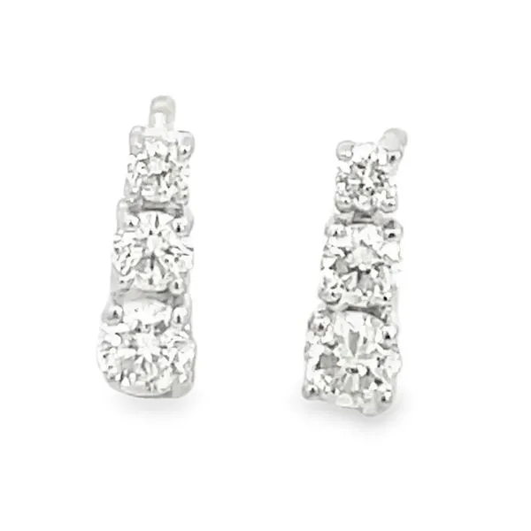 Earrings Black River Diamond Company Medford, WI