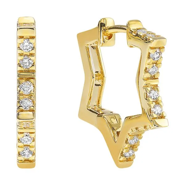 Earrings Black River Diamond Company Medford, WI