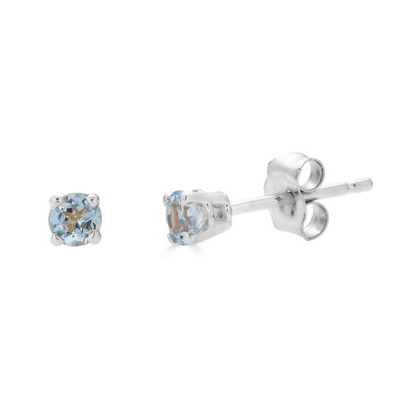 Earrings Black River Diamond Company Medford, WI