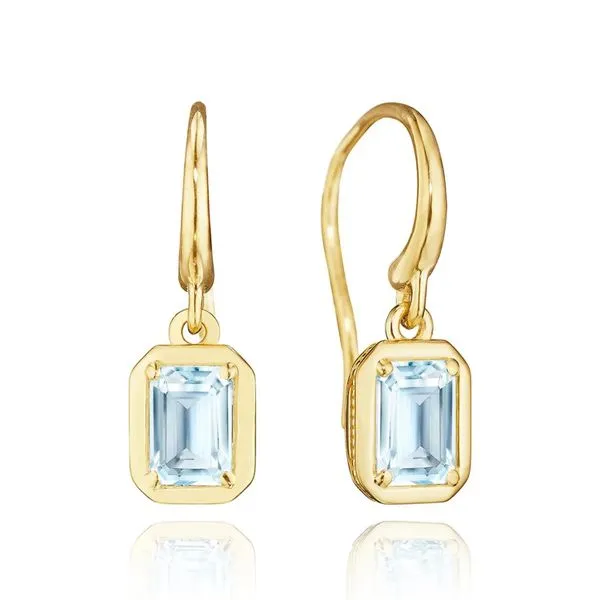 Earrings Black River Diamond Company Medford, WI