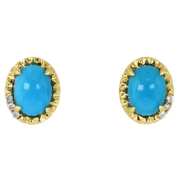 Earrings 001-210-01536 14KY Colored Stone Earrings Black River