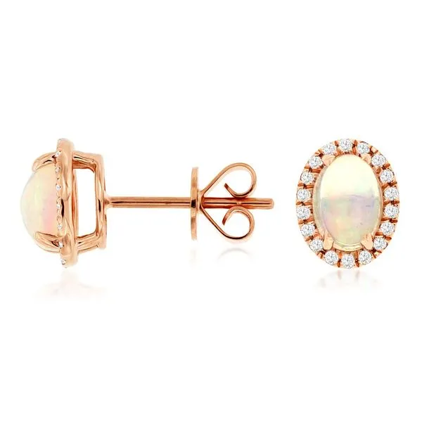 Earrings Black River Diamond Company Medford, WI