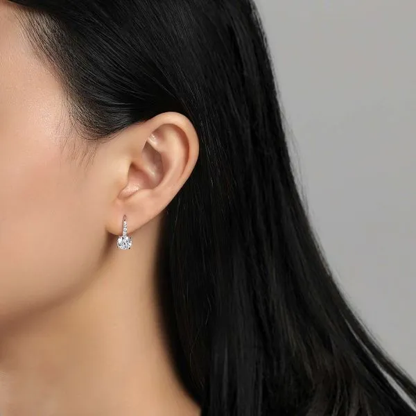 Earrings Image 2 Black River Diamond Company Medford, WI