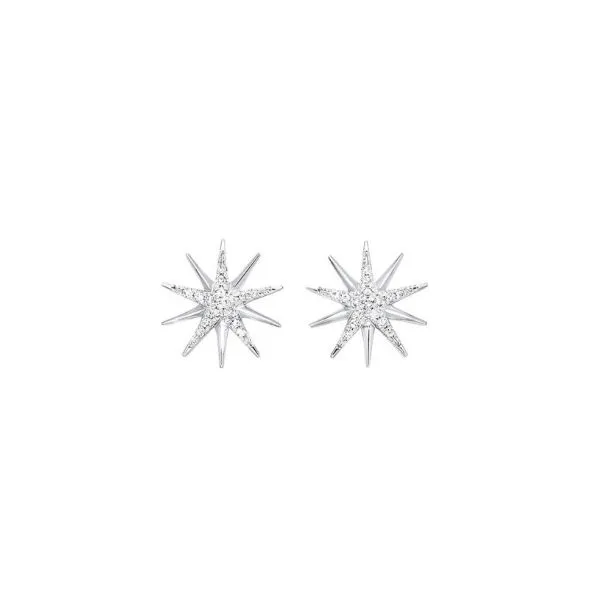 Earrings Black River Diamond Company Medford, WI