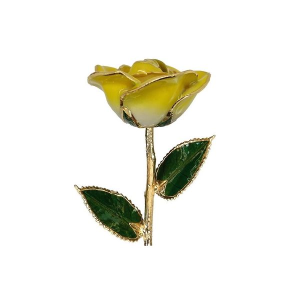 Gift Black River Diamond Company Medford, WI