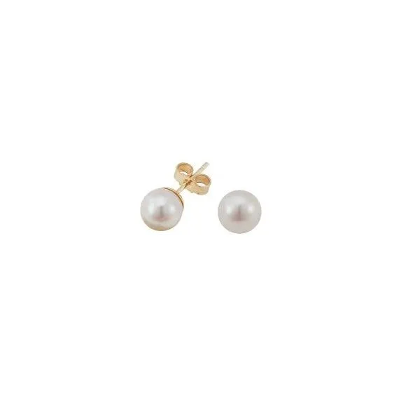 Earrings Black River Diamond Company Medford, WI