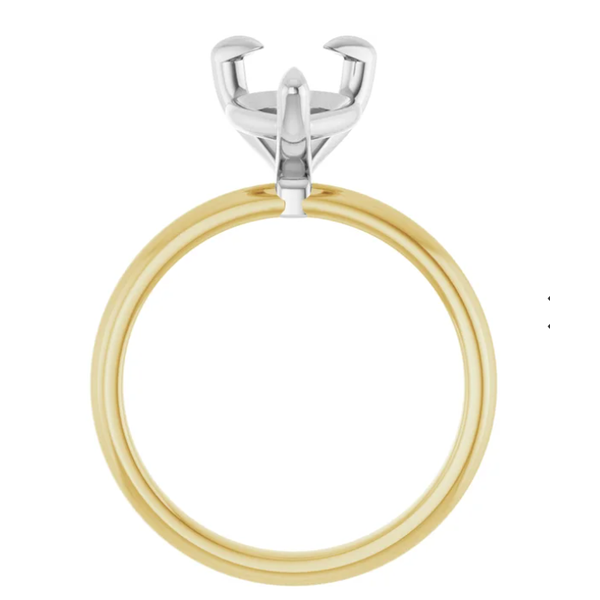 Ring Image 2 Blocher Jewelers Ellwood City, PA