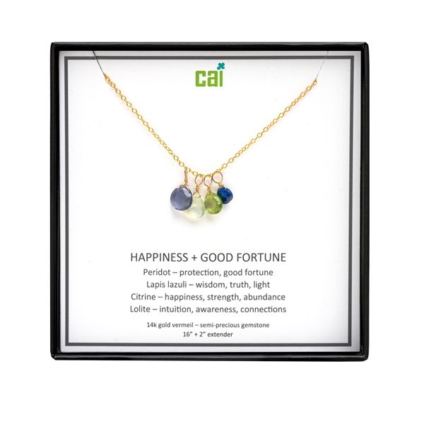 Gold-Plated "Happiness + Good Fortune" Be Inspired Necklace Blocher Jewelers Ellwood City, PA