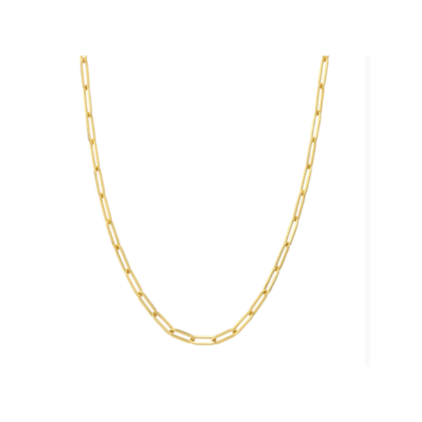Designer Long Link Chain Gold Plated / Silver Blocher Jewelers Ellwood City, PA