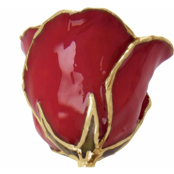 Lacquered Red Rose with Gold Trim Image 2 Blocher Jewelers Ellwood City, PA