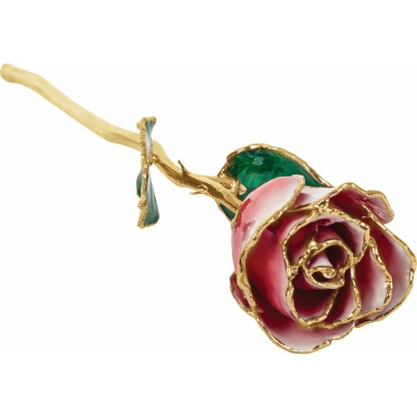 Lacquered Frozen White & Red Rose with Gold Trim Blocher Jewelers Ellwood City, PA