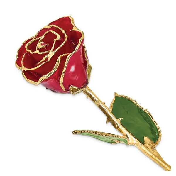 Lacquer Dipped Gold Trimmed Red Real Rose Blocher Jewelers Ellwood City, PA