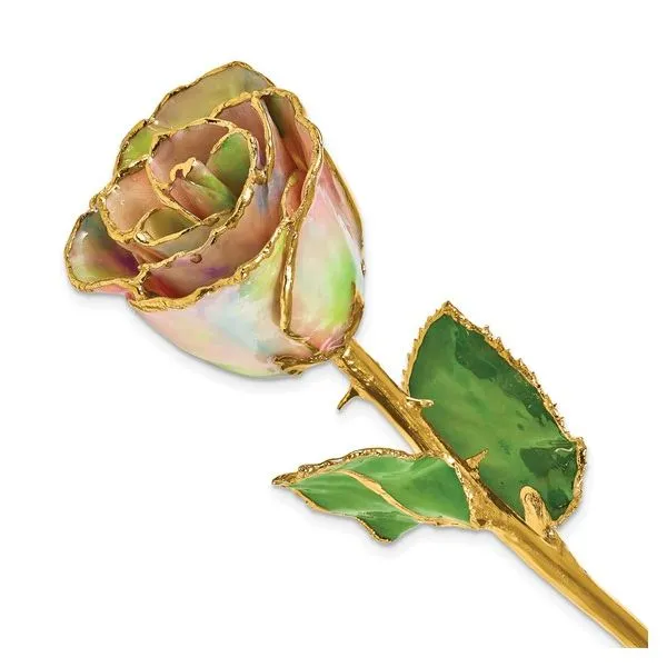 Lacquer Dipped Gold Trim Galaxy Iridescent Rose Blocher Jewelers Ellwood City, PA
