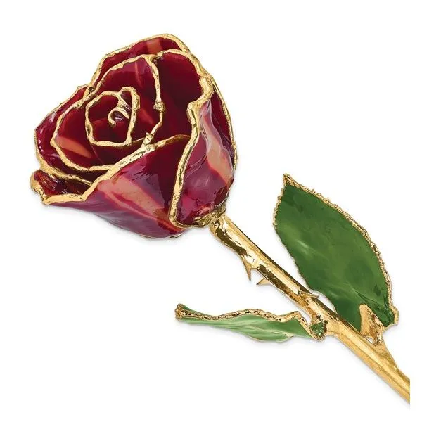 Lacquer Dipped Gold Trimmed Abracadabra Real Rose Blocher Jewelers Ellwood City, PA