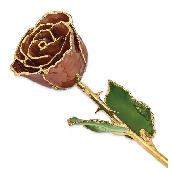 Lacquer Dipped Gold Trimmed Cinnamon Pearl Real Rose Blocher Jewelers Ellwood City, PA