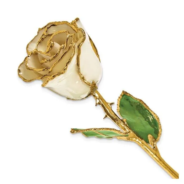Gold Trim April Birthstone Opal Rose Blocher Jewelers Ellwood City, PA