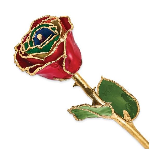 Lacquer Dipped Gold Trimmed Gypsy Rainbow Real Rose Blocher Jewelers Ellwood City, PA