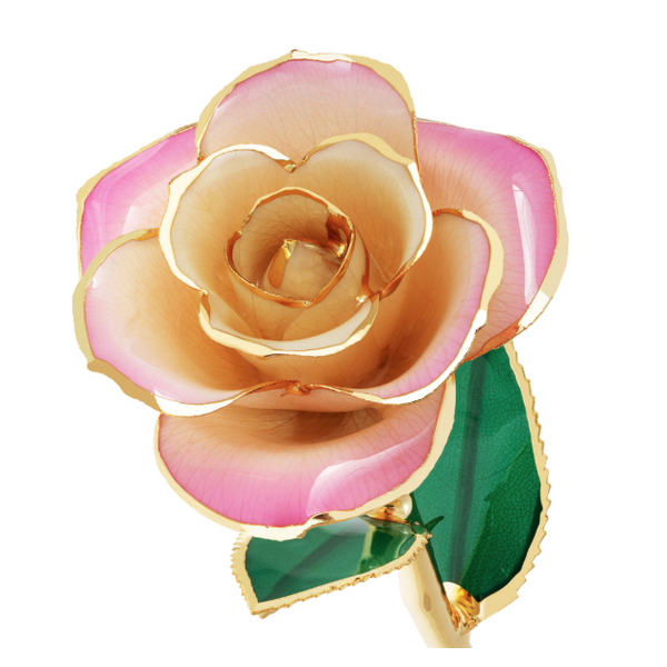 Blushed Pink 24K Gold Dipped Genuine Rose Lacquer Preserved 12