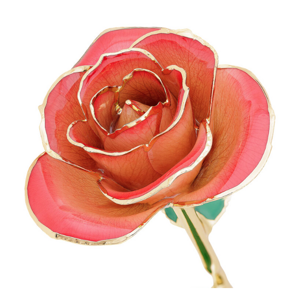 Blushed Red 24K Gold Dipped Genuine Rose Lacquer Preserved 12