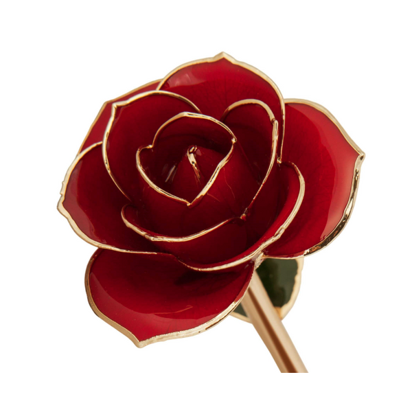 Ravishing Red 24K Gold Dipped Genuine Rose Lacquer Preserved 12