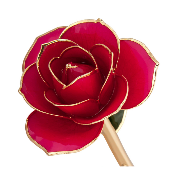 Luscious Pink24K Gold Dipped Genuine Rose Lacquer Preserved 12