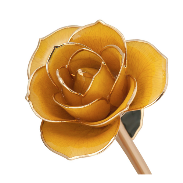 Sunshine Yellow 24K Gold Dipped Genuine Rose Lacquer Preserved 12