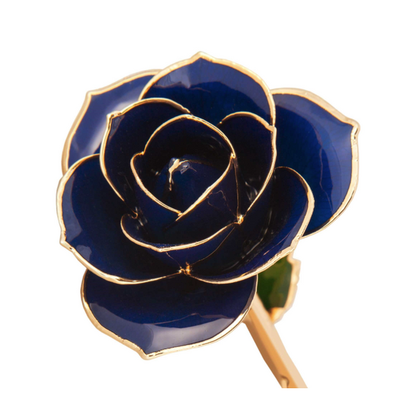 Midnight Blue 24K Gold Dipped Genuine Rose Lacquer Preserved 12