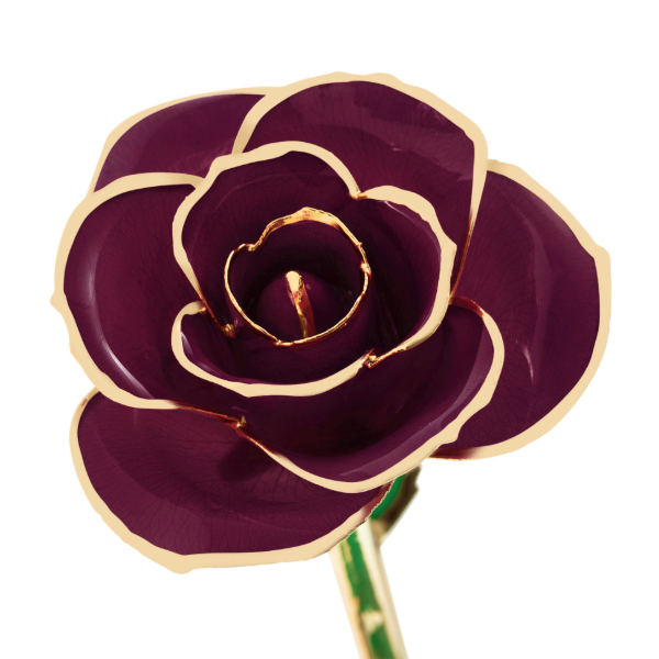 Burgundy Wine 24K Gold Dipped Genuine Rose Lacquer Preserved 12