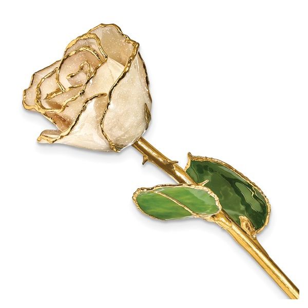 White Lacquer Dipped Gold Trimmed with Glitter Real Rose Blocher Jewelers Ellwood City, PA