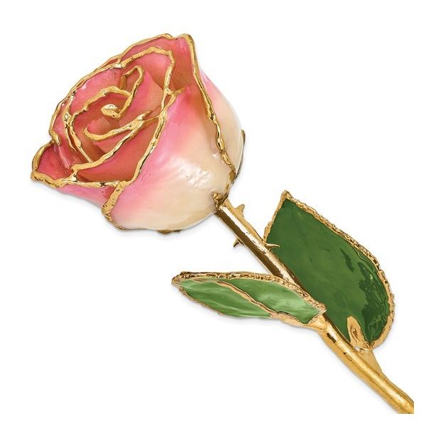 Lacquer Dipped Gold Trimmed White Pink Real Rose Blocher Jewelers Ellwood City, PA