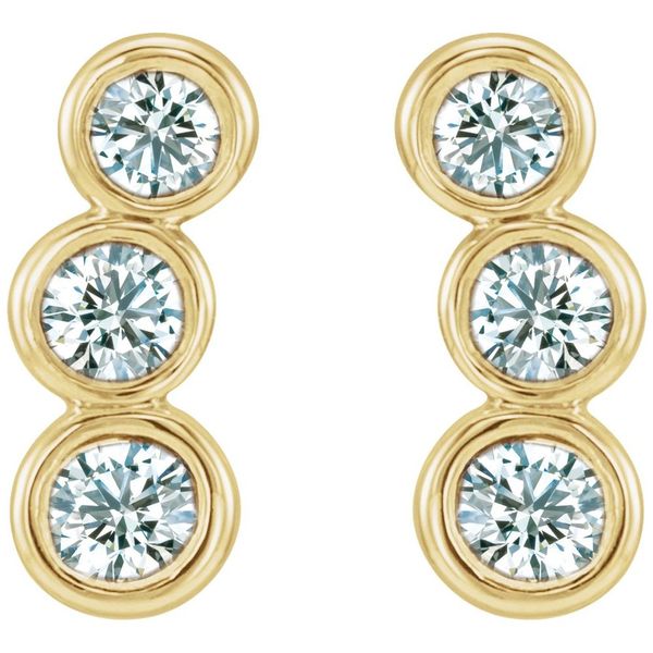 Earrings Image 2 Blue Heron Jewelry Company Poulsbo, WA