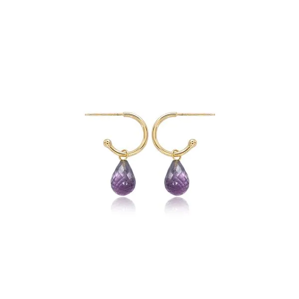 Amethyst Charm Hoop Earrings Blue Heron Jewelry Company Poulsbo, WA