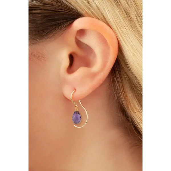 Amethyst Briolette Threader Hook Earrings Image 2 Blue Heron Jewelry Company Poulsbo, WA