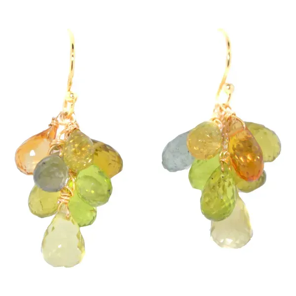 Multi-gemstone Briolette Drop Earrings Blue Heron Jewelry Company Poulsbo, WA