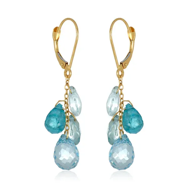 Blue Gemstone Medley Drop Earrings Blue Heron Jewelry Company Poulsbo, WA