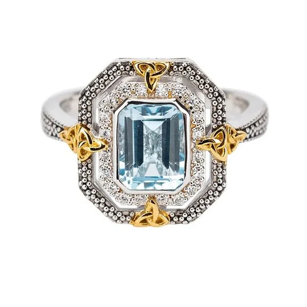 Silver & 10k Gold Octagon Celestial Ring Blue Heron Jewelry Company Poulsbo, WA