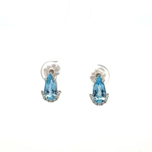 Santa maria aquamarine earrings on sale