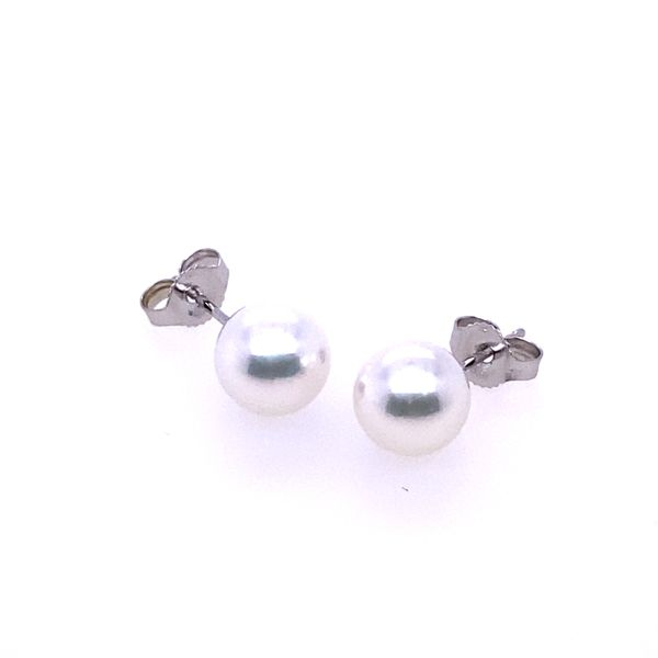 Blue Marlin Signature Pearl Simple Akoya Stud Earrings Image 2 Blue Marlin Jewelry, Inc. Islamorada, FL