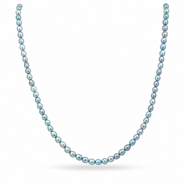 14K Tahitian Pearl Necklace Blue Marlin Jewelry, Inc. Islamorada, FL